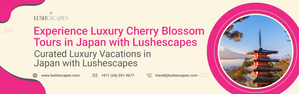 Luxury cherry blossom tours Japan