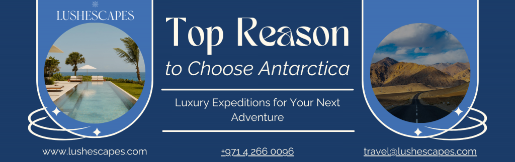 Top Reasons to Choose Antarctica Luxury Expeditions for Your Next Adventure