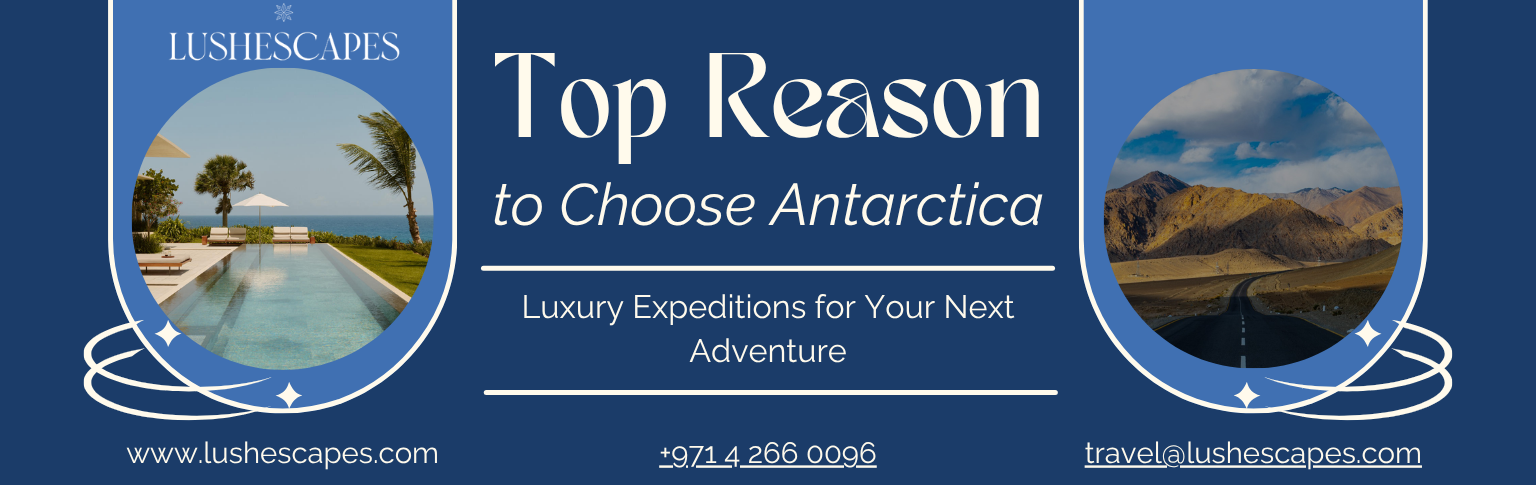 Top Reasons to Choose Antarctica Luxury Expeditions for Your Next Adventure
