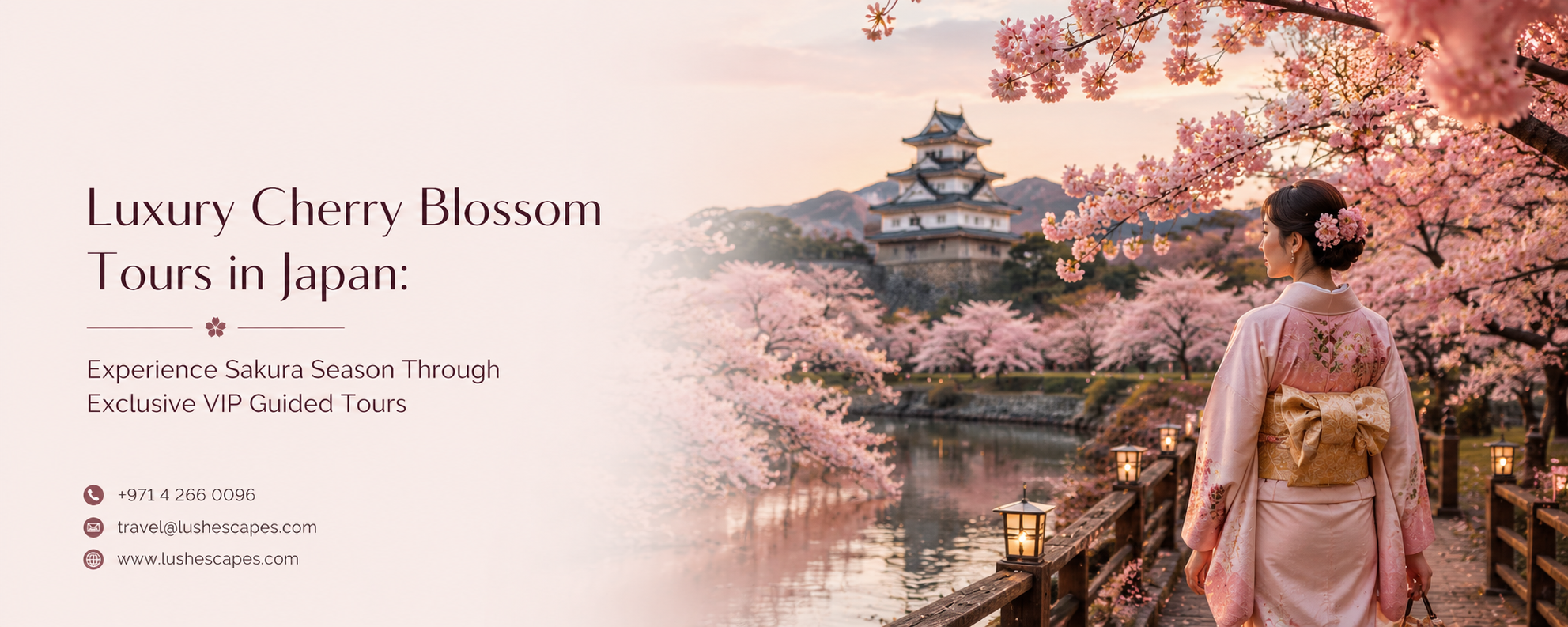 Luxury VIP cherry blossom tour in Japan during sakura season